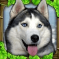 流浪狗生存模拟器官方安卓版下载