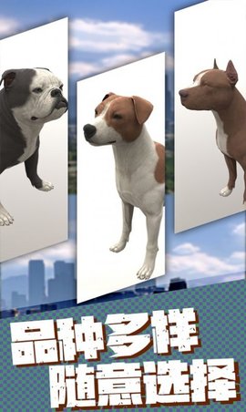 流浪狗生存模拟器官方安卓版下载